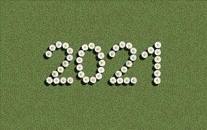 《守望先锋》曾有改编动画计划 但暴雪跟网飞闹翻