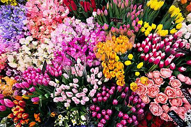 受美国演员工会SAG-AFTRA罢工影响 《命运2：异端》公布时缺少部分台词配音